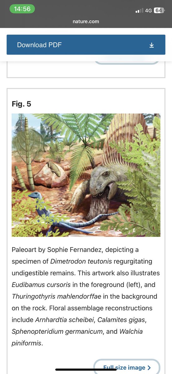 ArnaudR_Paleo's tweet photo. It's Finally here!!
My first Paper is out, dealing with the oldest fossilised regurgitation from a terrestrial ecosystem!
So happy to Finally see this work published!
😍😍😍 https://t.co/yswQUQxQTA