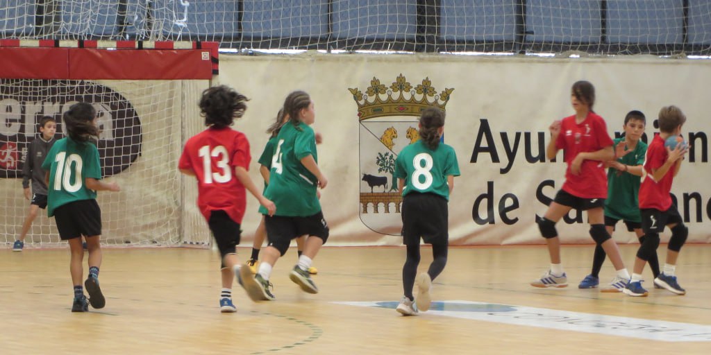 Delegación Provincial de Balonmano de Salamanca tweet media