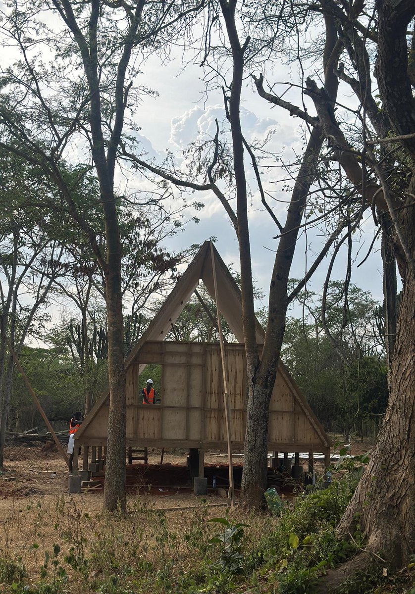 Call Me Kulubya tweet media