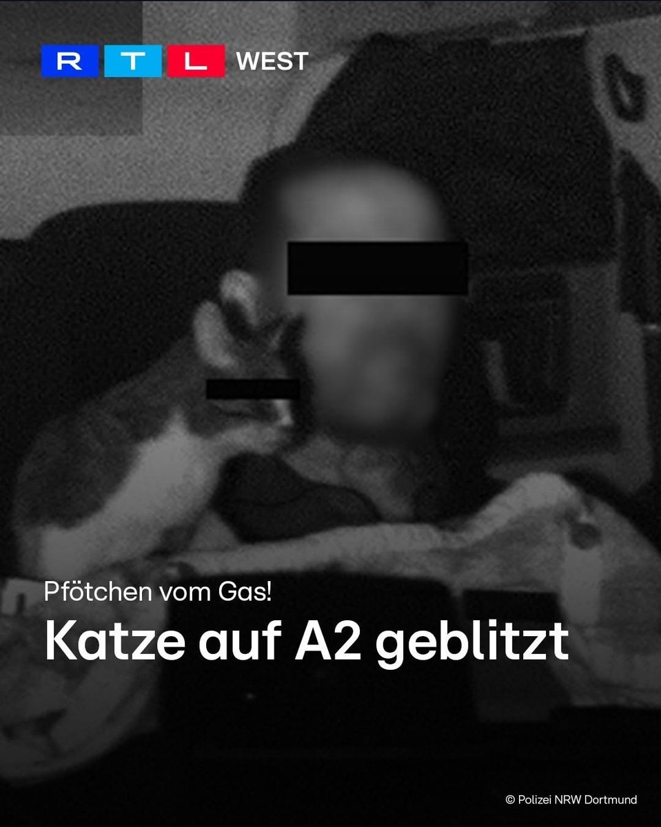 suesskatzi's tweet photo. Ich finde gut dass sie auch die Katze zensiert haben, sowas kann sonst schnell mal unangenehm vor Familie, Freunden oder Arbeitskollegen werden https://t.co/nnLFz95FNd