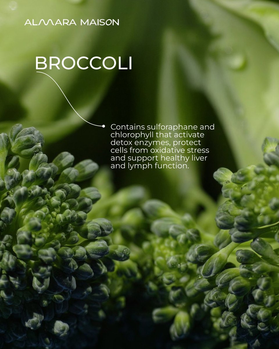 Broccoli: more than a vegetable 🥦 

Rich in sulforaphane, it activates detox enzymes, shields cells from oxidative stress, and supports liver + lymph health. Small daily choices compound into profound resilience 🌱 

What's one food supporting your system today?