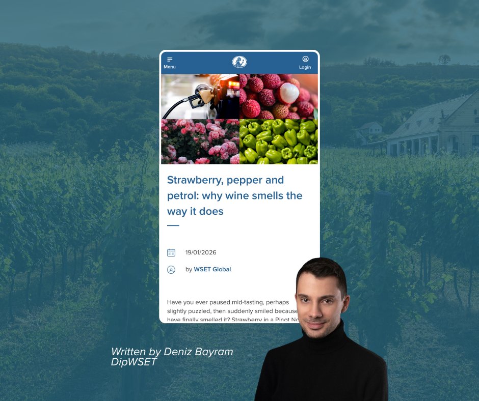 WSETglobal tweet media