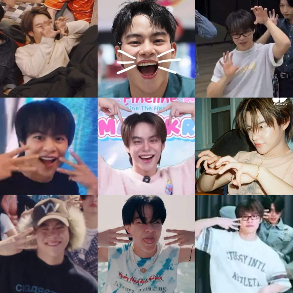 อันนิ้แมวพันธุ์อายัยจ๊ะ อ้วม ๆ กม ๆ😸 ขอเลี้ยงน้า🫳🏻
