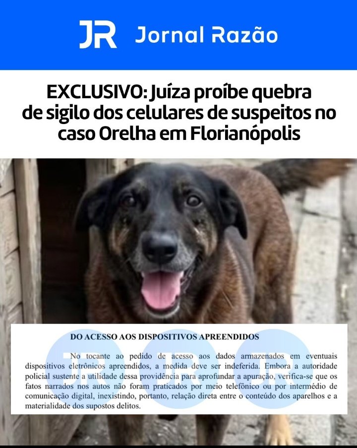 danilonasci654's tweet photo. 🚨 DENUNCIA GRAVE

No Discord tem um grupo que fazem desafios os participantes do grupo e uns dele é torturar animais
Existem evidência que esse grupo está tentando encobrir a morte do JUSTIÇA PELO ORELHA 

Temos que nos mobilizar para QUEBRA DE SIGILO JÁ do caso da morte do cão https://t.co/u7H7mP86lN
