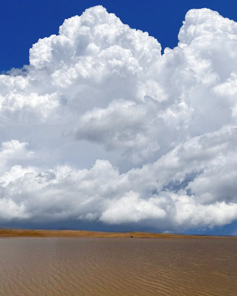 البرق⚡️ tweet media