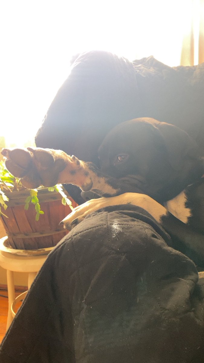 Nythal3's tweet image. The sun will rise