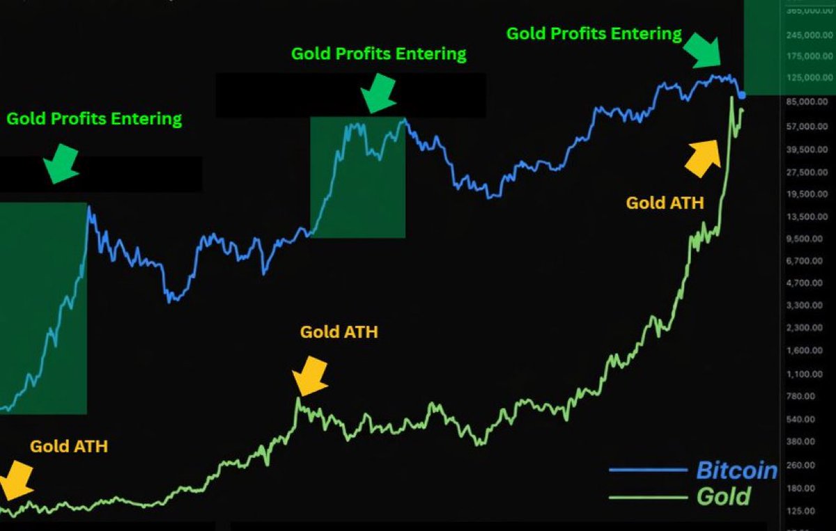 DonWedge's tweet photo. Whenever GOLD has made an ATH it has rotated into crypto, so stay $BULLISH the same will happen again https://t.co/famu0j5EbC