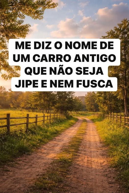 @pontinisandra McCartney tweet media