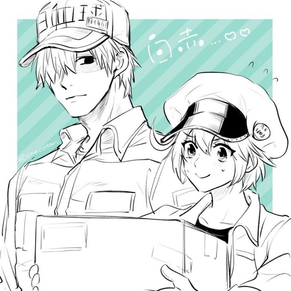 白赤はいいぞ〜⭐︎(再掲) 