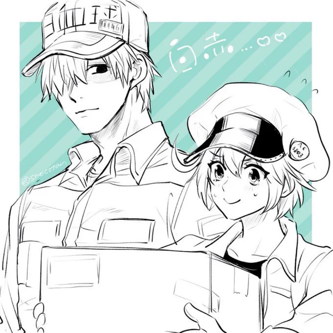 白赤はいいぞ〜⭐︎(再掲) 