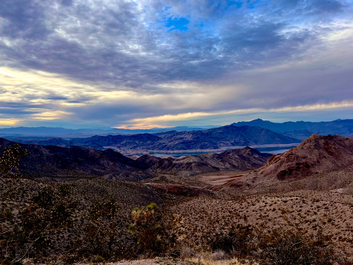 Flawwed1 tweet media