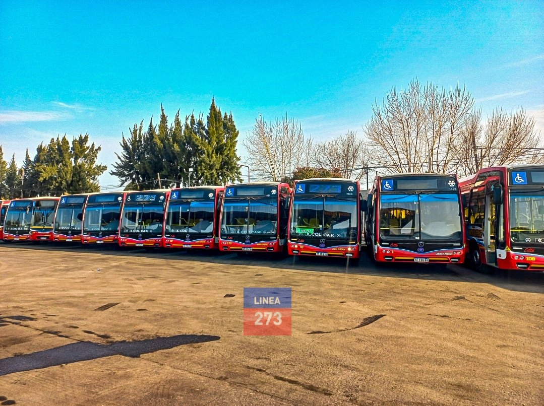 Se informa a los usuarios que la Línea 273 garantiza la prestación normal de la totalidad de sus servicios durante el día de la fecha en la ciudad de La Plata. #Linea273 #LaPlata