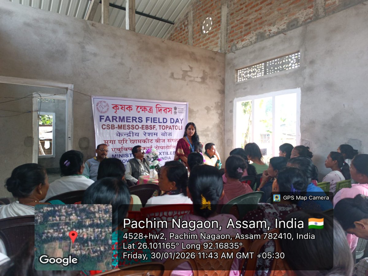 MssoSilk's tweet photo. Farmers’ Field Day Programme was organised on 30.01.2026 by CSB–MESSO, EBSF Topatoli at Topatoli Gaon. The programme was addressed by the Manager, State Eri Seed Grainage, Topatoli, along with Scientist-D and the EBSF technical team.
The session covered scientific eri seed crop rearing and quality seed cocoon production. Farmers actively participated, sharing field experiences and practical issues, followed by an interactive discussion promoting improved rearing practices.@LalithaNM2010 @EBSFCSB2020 @IfsSivakumar @PIBTextiles @csbmot @TexMinIndia