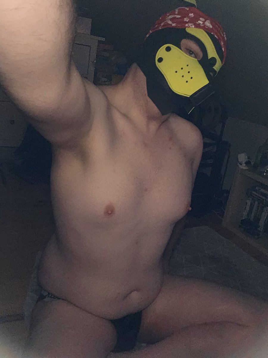 Pup Bonkers tweet media