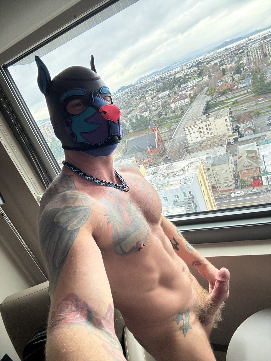 Back to this view in 12 days 😈