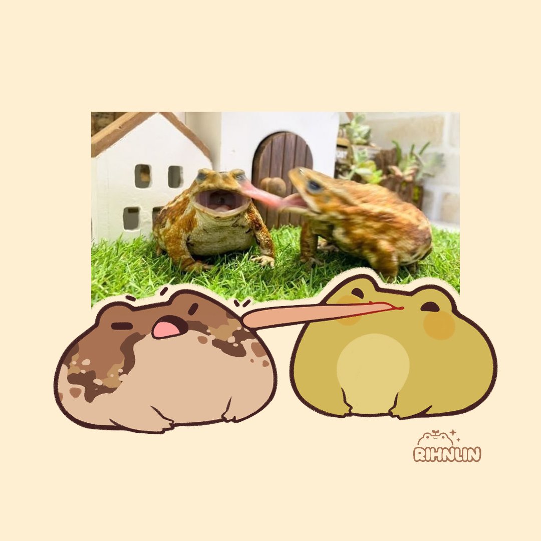 Rihnlin 🌱🪲🐸 tweet media