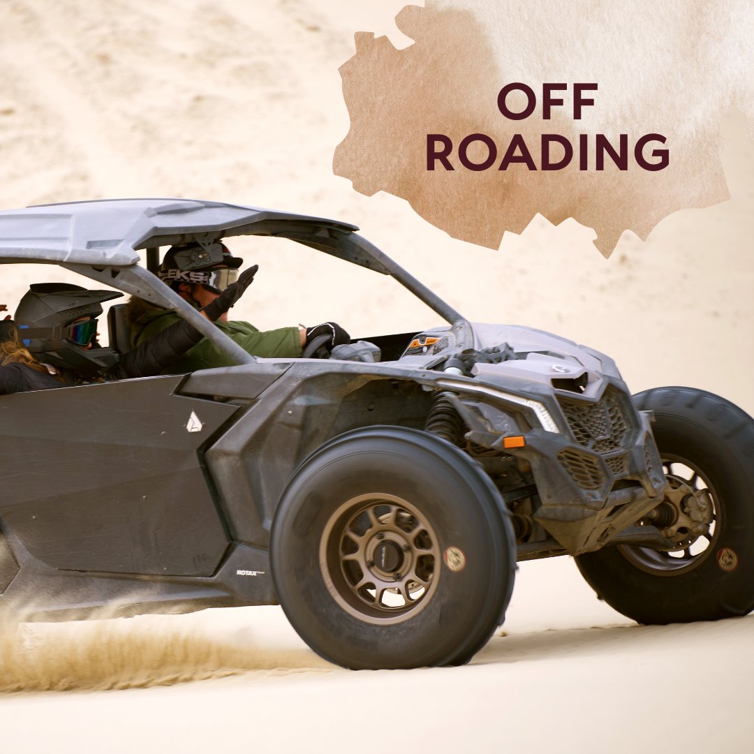 Weekend plans? Fallon’s got you covered! Spot wildlife at Stillwater, check out local art, or ride the dunes at Sand Mountain. What’s your move?

#visitfallon #fallonnevada #travelnevada