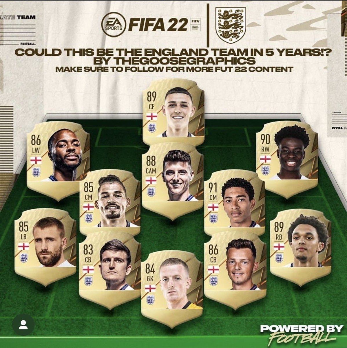 SAF Goose tweet media