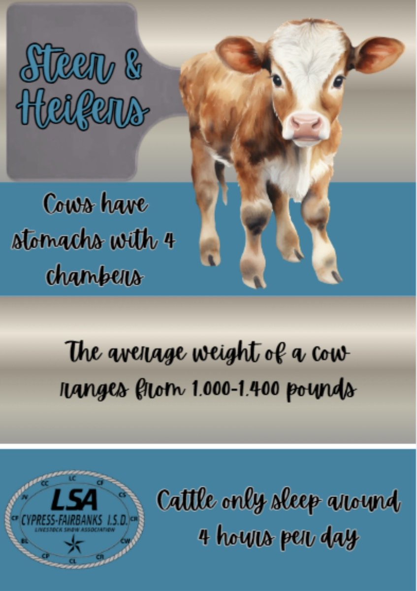 Big or small, fast or slow, every breed’s got flair to show! Take a gander at these fun facts. Gear up to join us at the 32nd Annual CFISD Livestock Show and Sale happening February 5-7, 2026! #CFISDLSA2026 #CFISDspirit #CTEis4me