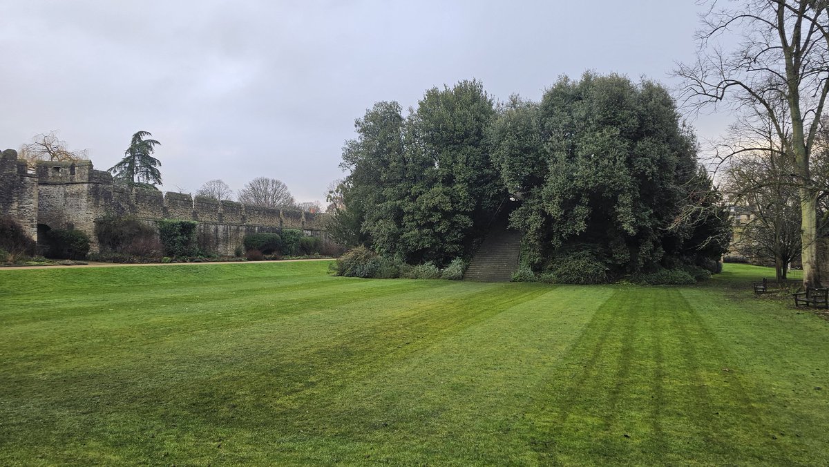 Dr G B Turner ⚛️ tweet media