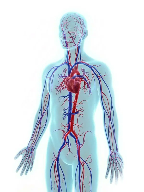 aibody_io's tweet photo. AIBODY is hiring: Partnership &amp; Revenue Lead! Drive sales &amp; partnerships for our groundbreaking digital physiology platform. Help transform healthcare! Apply today: https://t.co/ocM3rsOszR #Jobs https://t.co/TRhuDIv6MB