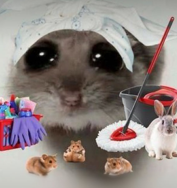 Plaes say a prayer for our beloved hamster @bios_1986