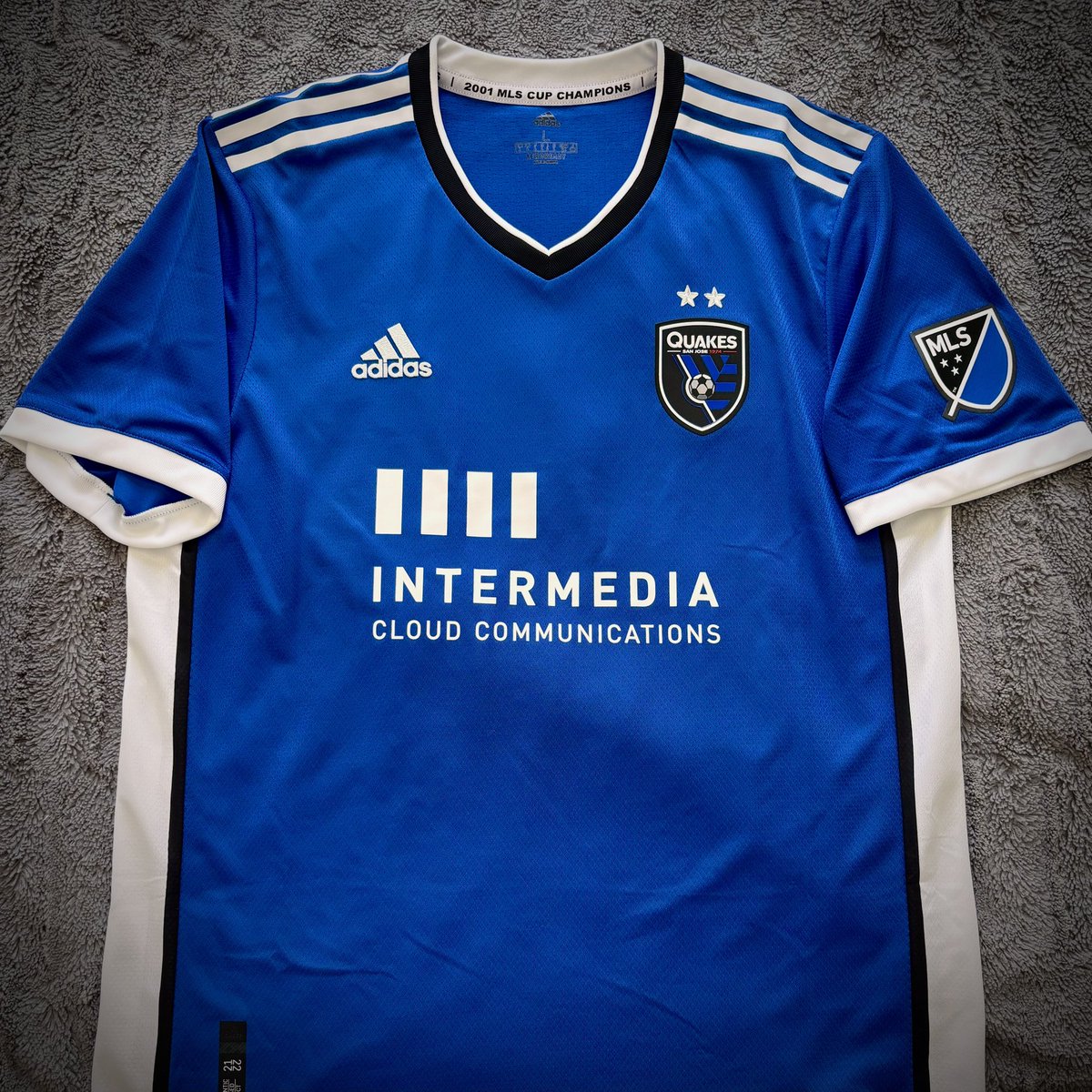 The Simcoe Villan 🦁 tweet media