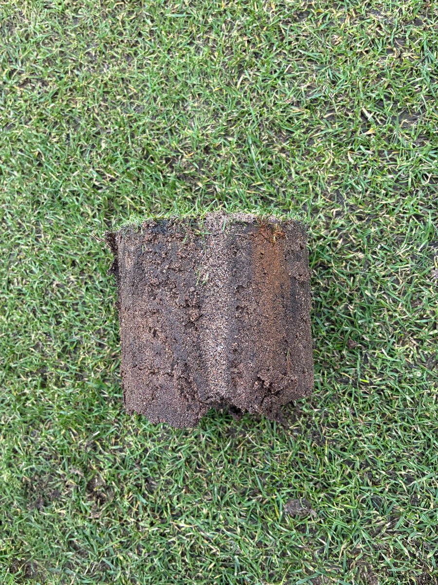 Leven Links tweet media