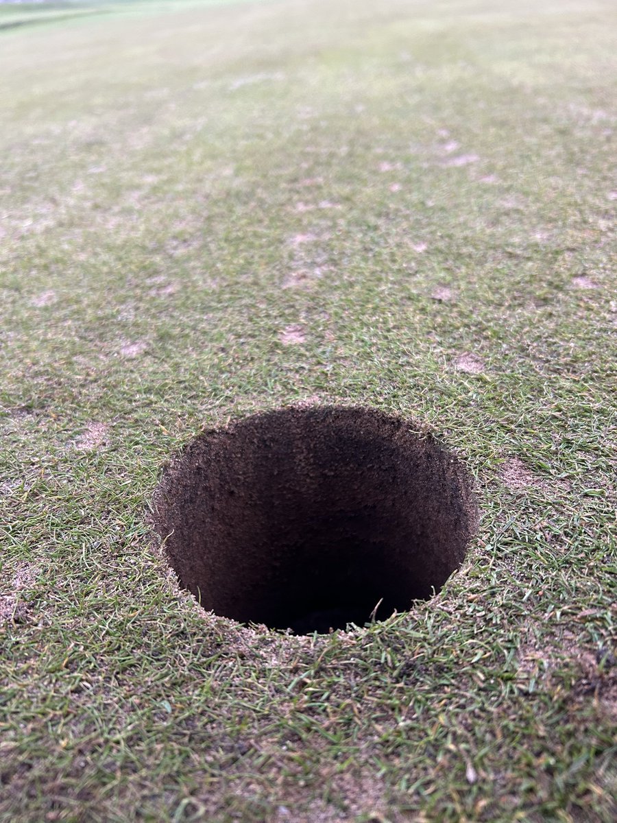 Leven Links tweet media