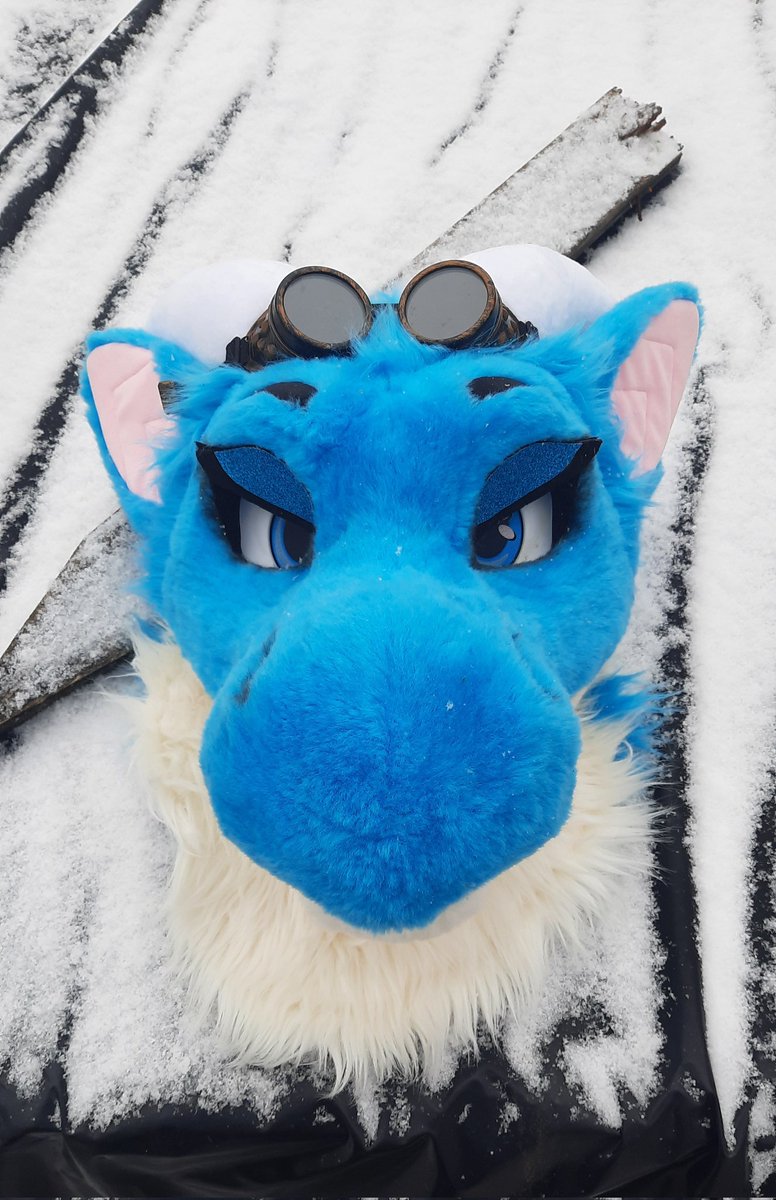 Lumi/Faye 🩵(ItsOtterChaos) tweet media