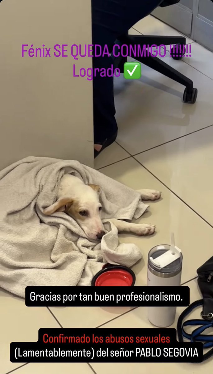 CroArg's tweet image. Fénix no vuelve con su abusador.