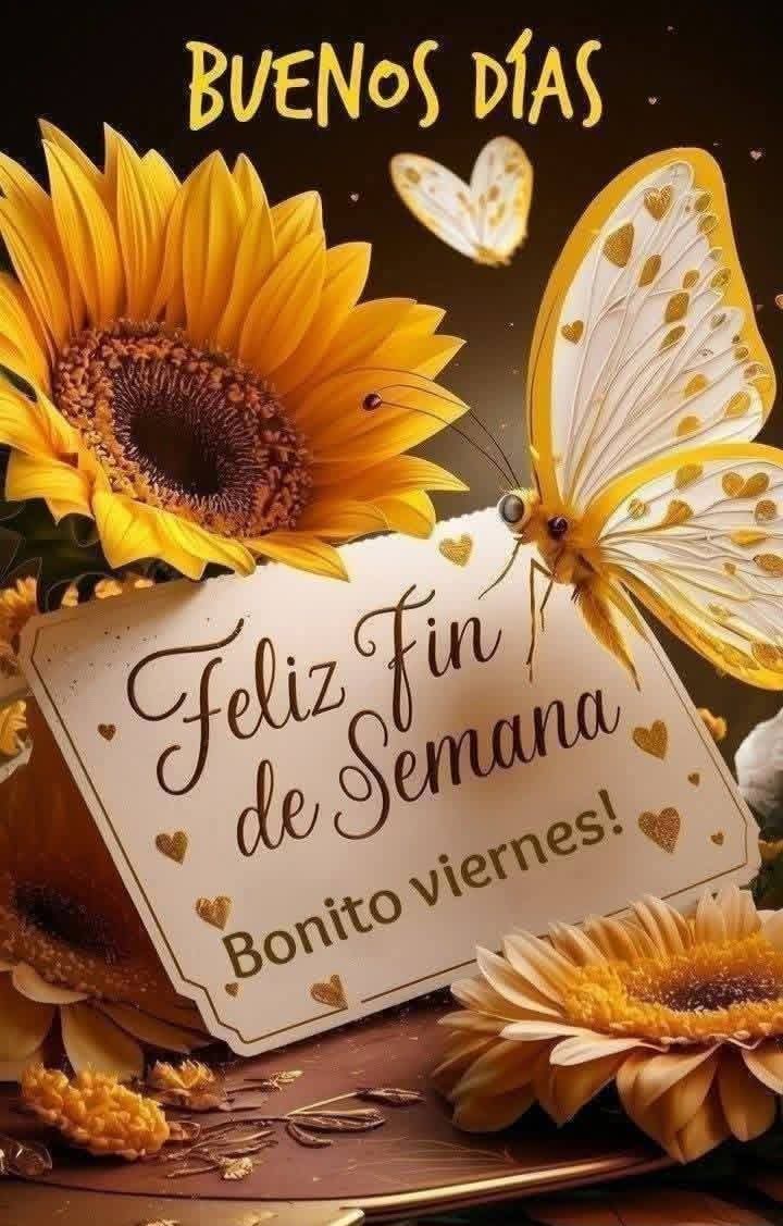 Buenos días un gran saludo a todos y que Dios nos bendiga. 🏖