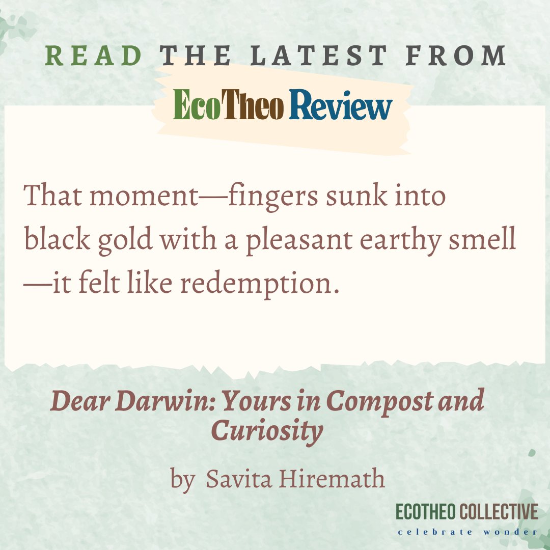 EcoTheo Collective tweet media