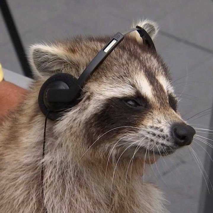 Get that bread before the weekend