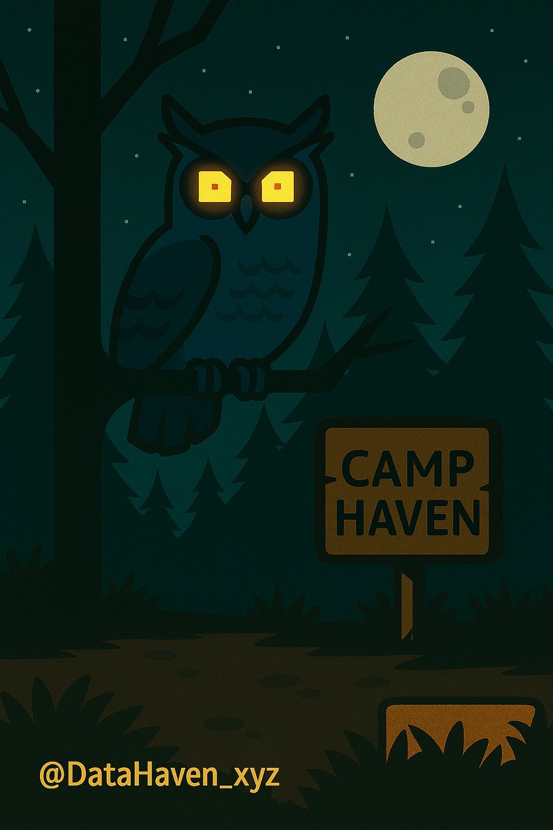 1_zza1's tweet photo. @datahaven_xyz Tonight at Camp Haven, I spotted a glowing owl perched silently above the fire.  
Its pixel-feathers shimmered like data packets, and its eyes held ancient secrets.  
It didn’t speak—but I felt watched, protected, and maybe… chosen. https://t.co/FbWnH70dpx