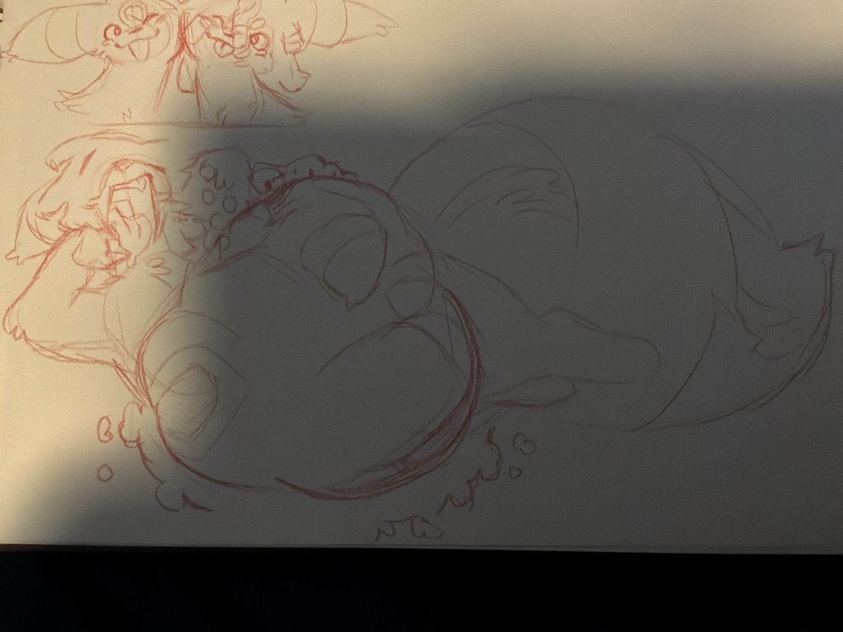 🍞Bottom 🥖doggo🍞 tweet media