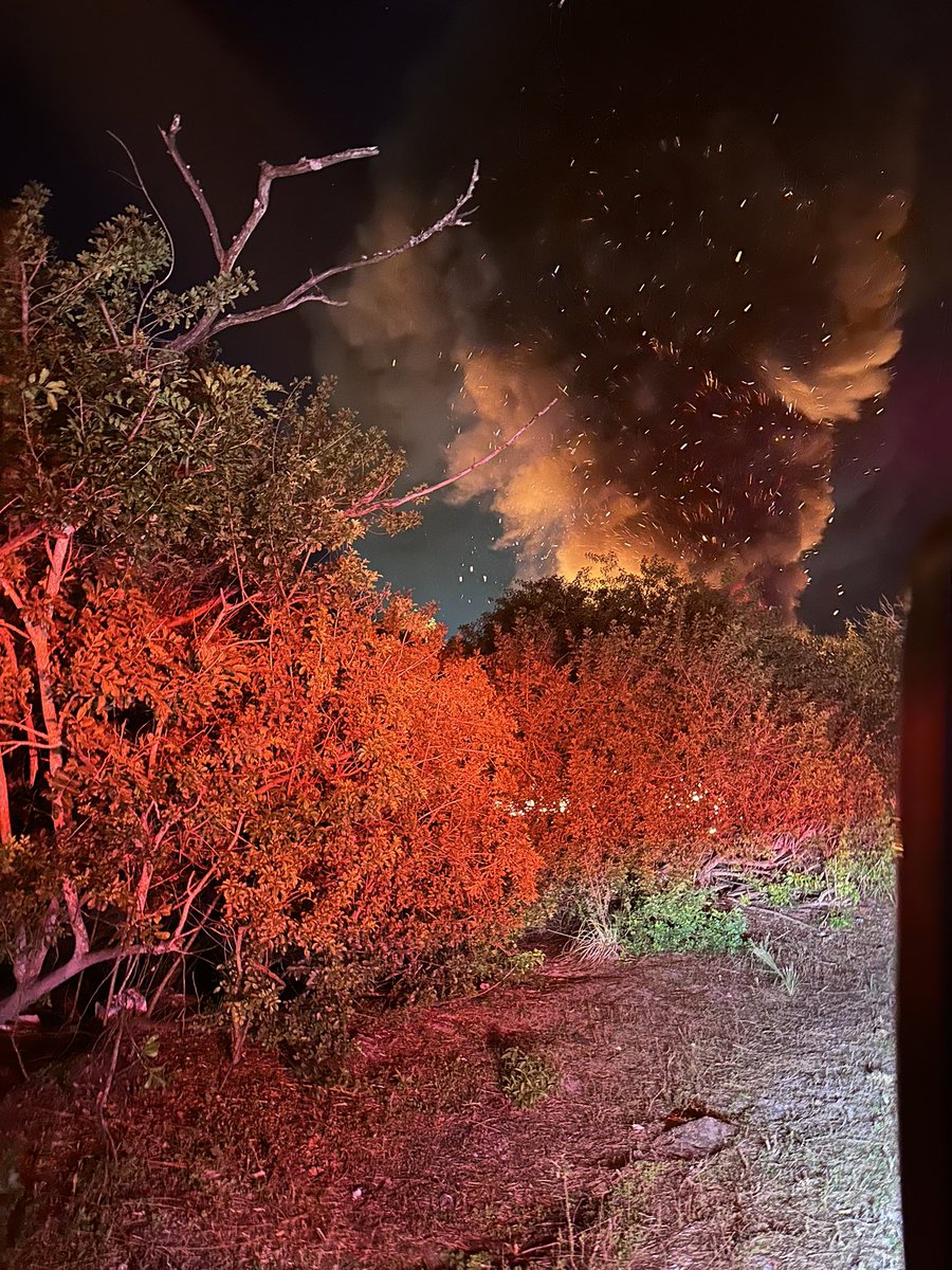 Joseph DeVito tweet media