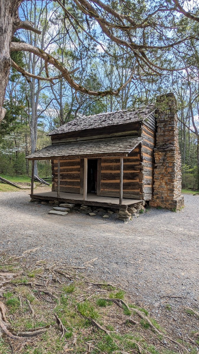 The Forgotten South tweet media