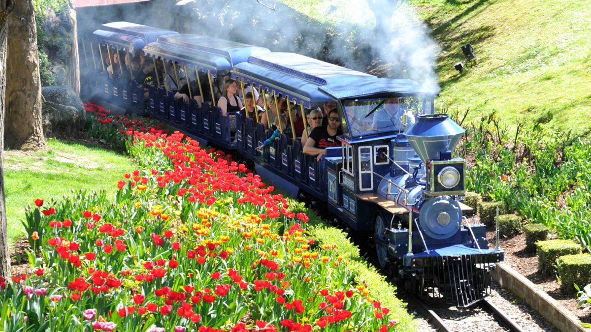 In de nieuwste After Park Lounge-episode nemen Jaffeth &amp; Marwin je rijdend mee door EP:
🐾 Dierenshows eruit
🎢 Monaco-thema voor Silver Star
🍻 Bier, wielen &amp; bubba de krab.