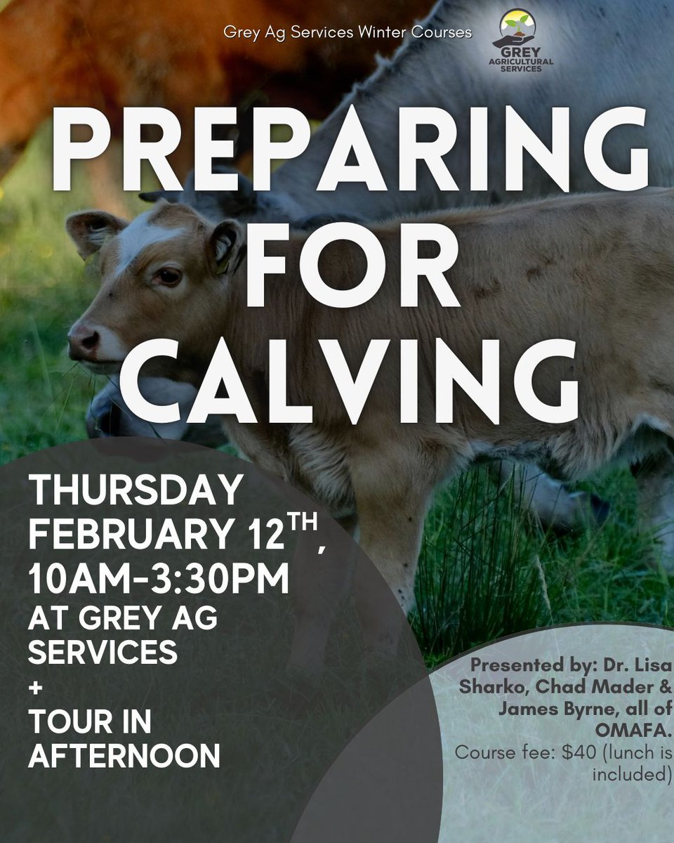 GreyAgServices tweet media