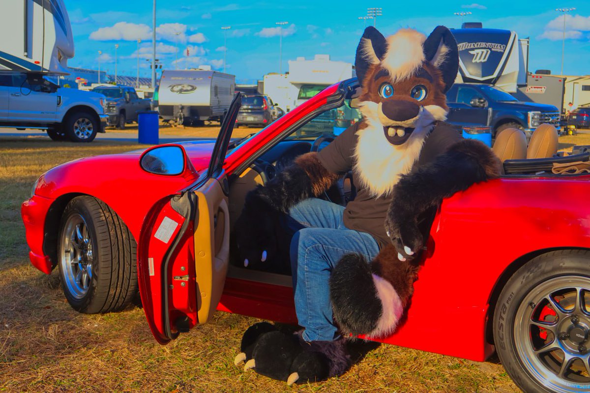 🦊Cobi🐺 🔜 LVFC tweet media