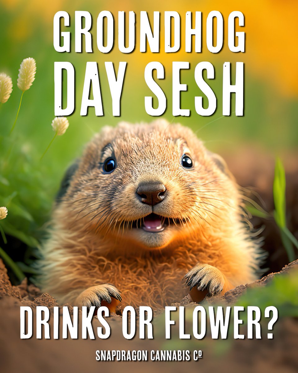 Snapdragon Cannabis Co. tweet media