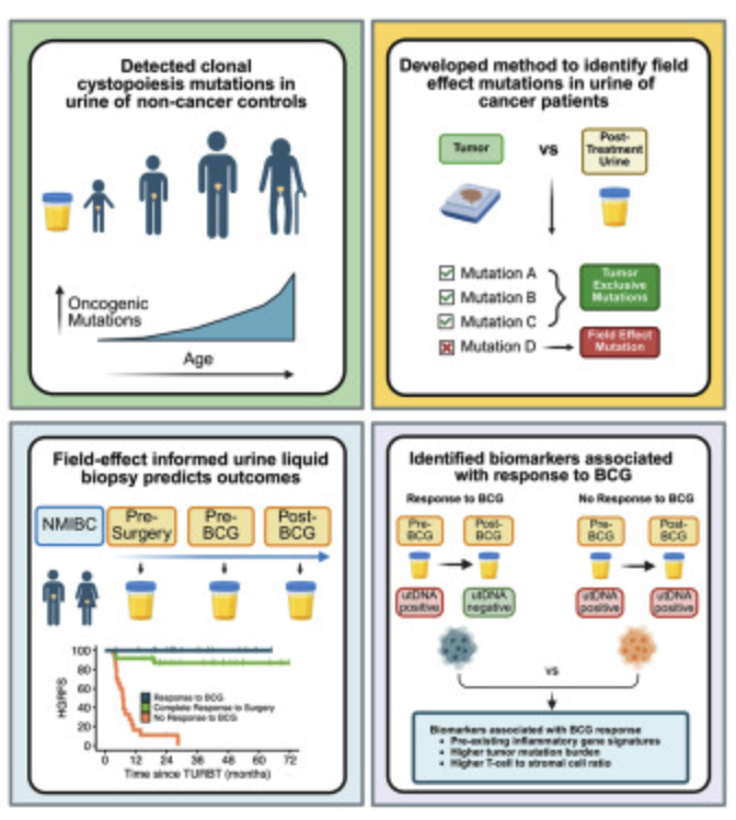 Steven Artandi, MD, PhD tweet media