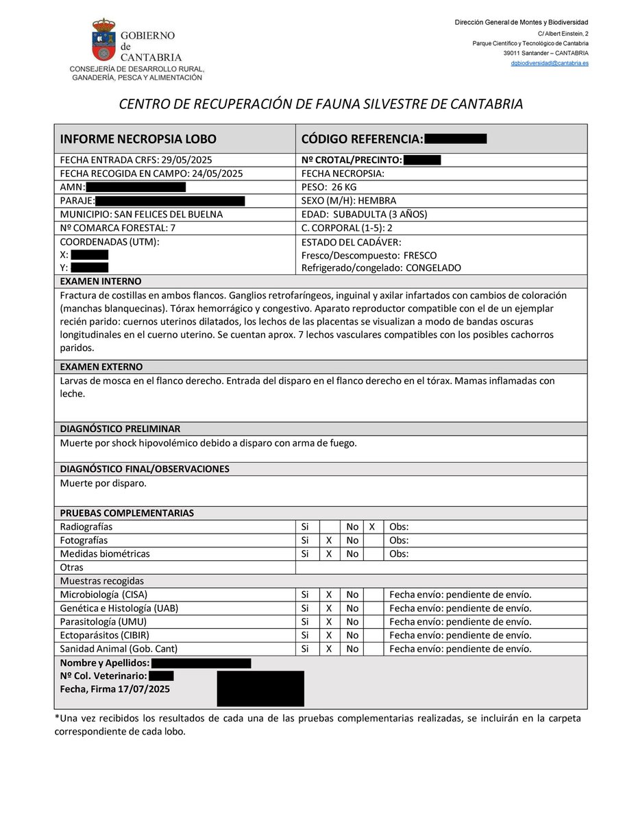rafamerdel's tweet image. Delitos contra la fauna. Artículo 334.1.c) del Código Penal:

- Será castigado con la pena de prisión de 6 meses a 2 años quien realice actividades que impidan o dificulten su reproducción o migración.

ESTÁIS MATANDO #LOBAS RECIÉN PARIDAS Y CONDENADO A MUERTE A SUS LOBEZNOS.