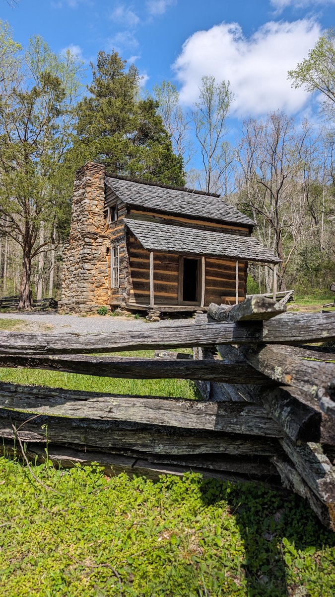 The Forgotten South tweet media