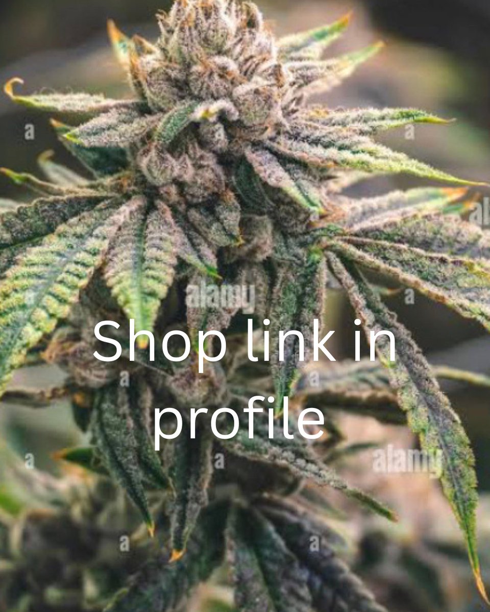 HyojqsAXw's tweet photo. cannabis weed kush 420 in Leicester Edinburgh Coventry. Easy to get
Visit our profile. 
#cannabisedinburgh #cannabiscoventry #cannabisleicester #weedcoventry #weedleicester #weededinburgh #kushedinburgh #kushcoventry kushleicester
cannabisedinburgh cannabiscoventry https://t.co/WIbxojNJse