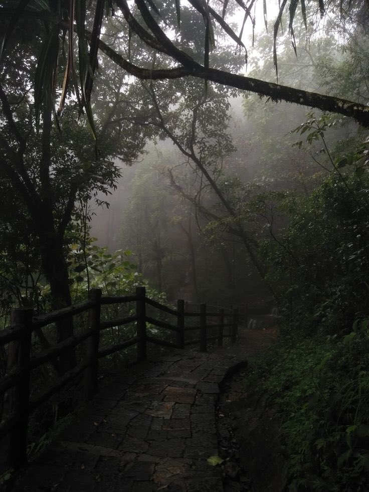 earthcurated's tweet image. after the rain 🌧️