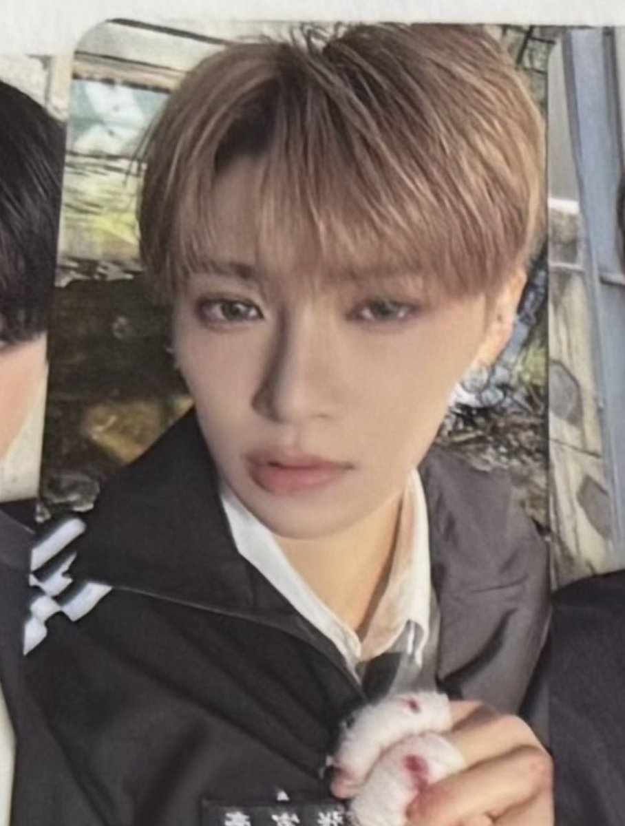 ぐるびん tweet media