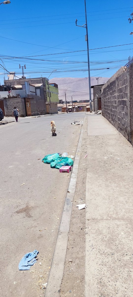 joyanedeb's tweet photo. @MHospicio @Cosemar Esto es pasaje Carmen de Alonso entre Vicente Pérez y Ana Gonzalez Población 318 o Isabel Allende....es el colmo que la camara que se encuentra en la esquina no pueda registrar al enfermo que tira la basura en el pasaje a la hora que se le ocurre...🤬🤬🤬🤬🤬 https://t.co/0a8FB5JQ9a