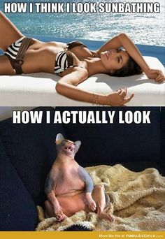 llandoniffirg's tweet image. Hahahaha🤣🤣🤣🤣🤣